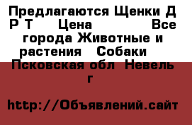 Предлагаются Щенки Д.Р.Т.  › Цена ­ 15 000 - Все города Животные и растения » Собаки   . Псковская обл.,Невель г.
